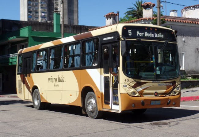 Opiniones de Micro Ltda. en Rivera - Servicio de transporte