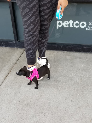 Pet Supply Store «Petco Animal Supplies», reviews and photos, 8580 Firestone Blvd, Downey, CA 90241, USA