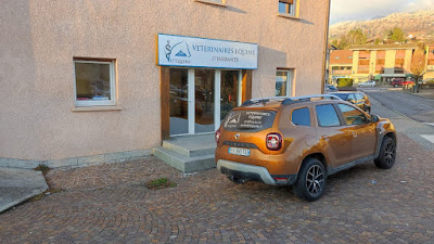 Vet'Equine - Vétérinaires équins à domicile à Bonne