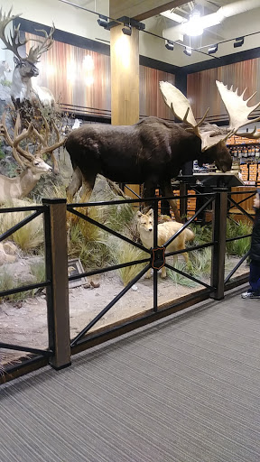 Outdoor Sports Store «Field & Stream», reviews and photos, 520 Clock Tower Way, Crescent Springs, KY 41017, USA