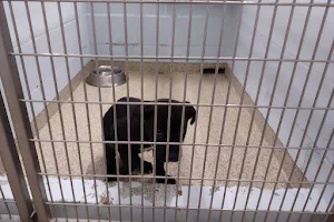 Conway City Animal Shelter image