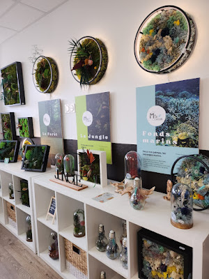 milo, le concept-store végétal à Ouistreham