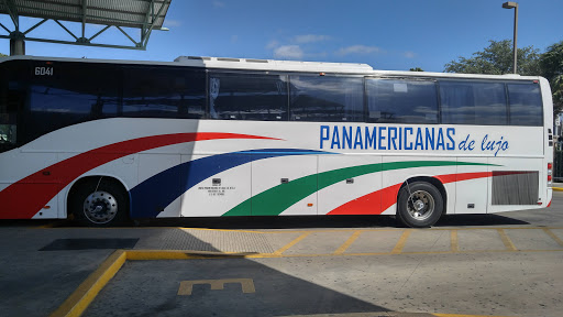 Lineas Panamericans Co