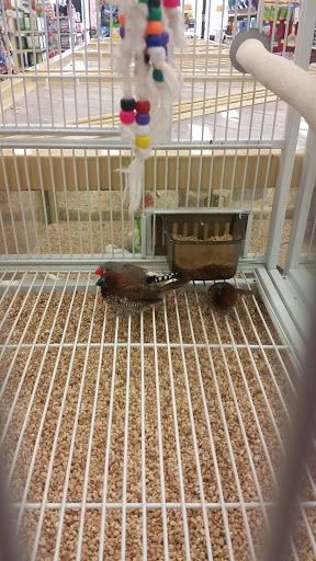 Pet Store «Pet Supermarket, Inc.», reviews and photos, 1938 FL-44 #40, New Smyrna Beach, FL 32168, USA