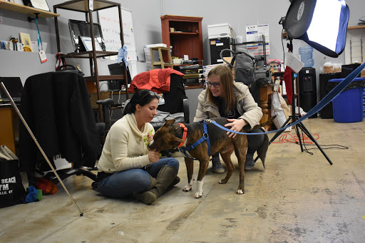 Pet Supply Store «Thomaston Feed of Cheshire», reviews and photos, 851 S Main St, Cheshire, CT 06410, USA