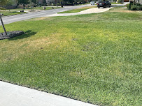 TruGreen Lawn Care - Photo 2 - Car repair in Dallas, TX, Dallas