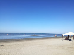 Foto von Isola Albarella Beach #alt_locality_no