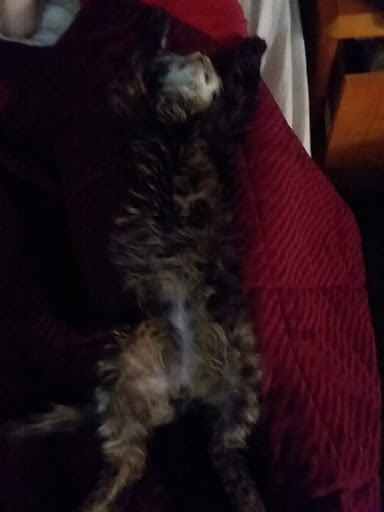 Pet Supply Store «Pet Supplies Plus», reviews and photos, 911 N Cable Rd a, Lima, OH 45805, USA