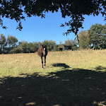 Photo n° 8 de l'avis de Guljeet.a fait le 15/09/2019 à 18:47 pour La Ferme de la Vallée à Vasles
