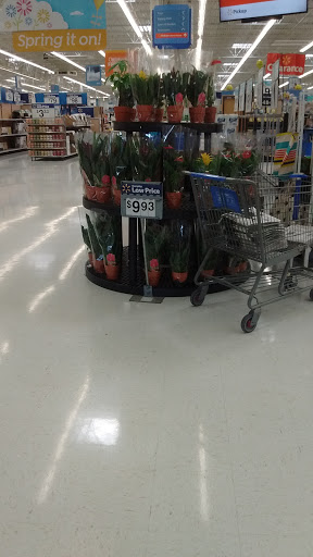 Department Store «Walmart Supercenter», reviews and photos, 201 Edwards Blvd, Lake Geneva, WI 53147, USA