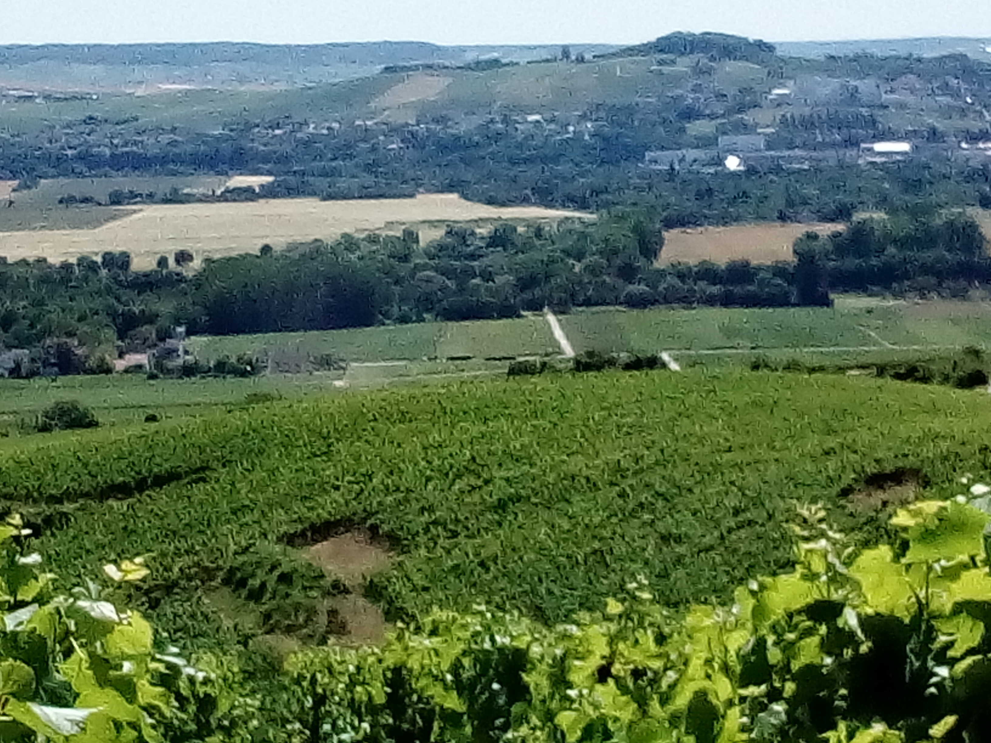 Photo n° 2 de l'avis de Déborah. fait le 07/07/2019 à 07:03