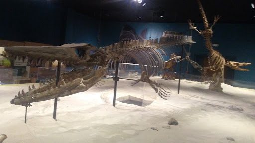 Museum «Museum», reviews and photos, 2142 Southern Dr, Statesboro, GA 30458, USA