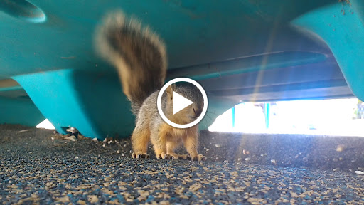 Park «MACARTHUR PARK», reviews and photos, 1611 NE Interstate 410 Loop, San Antonio, TX 78217, USA