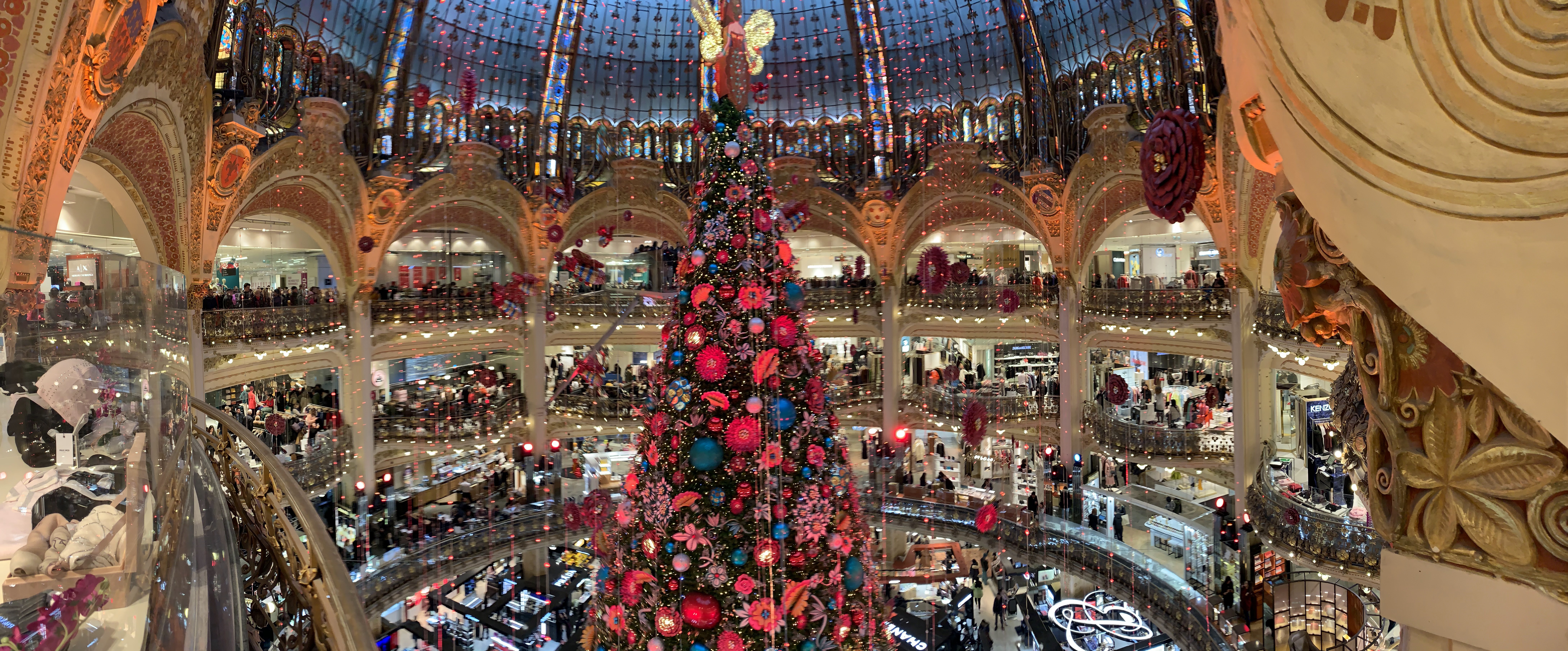 Photo n° 1 de l'avis de Martín.e fait le 15/12/2019 à 20:10