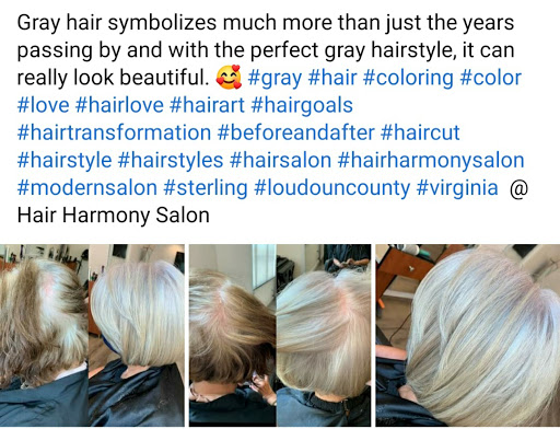 Hair Salon «Hair Harmony Salon», reviews and photos, 46400 Benedict Dr #9, Sterling, VA 20164, USA