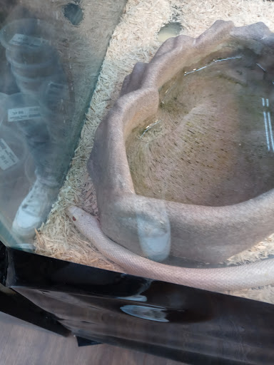 Pet Store «Pets Plus - Quakertown», reviews and photos, 117 S West End Blvd, Quakertown, PA 18951, USA