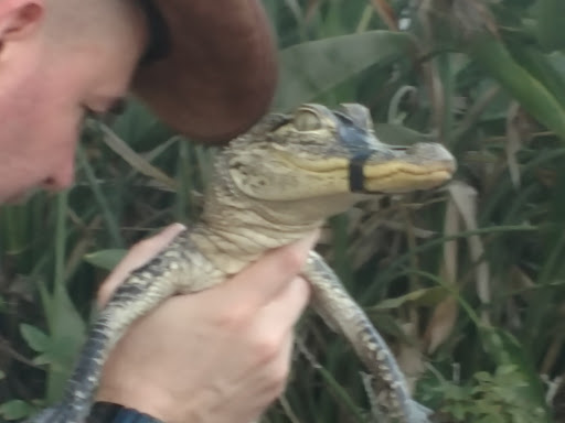 Tourist Attraction «WonderWorks», reviews and photos, 9067 International Dr, Orlando, FL 32819, USA