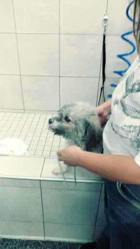 Pet Supply Store «Pet Supplies Plus», reviews and photos, 1377 N 21st St, Newark, OH 43055, USA