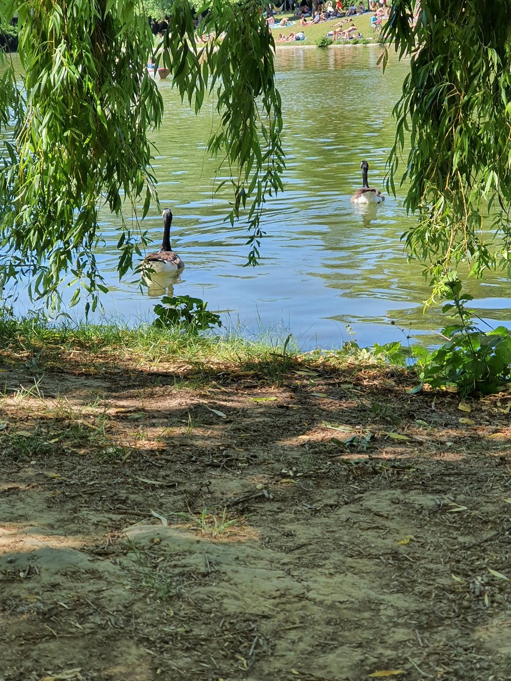 Photo n° 2 de l'avis de Elle. fait le 25/01/2022 à 10:51