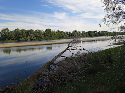 Ile Buda à Saint-Étienne-de-Chigny