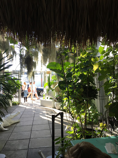 Interior Plant Service «Plant The Future, Inc.», reviews and photos, 2511 NW 2nd Ave, Miami, FL 33127, USA