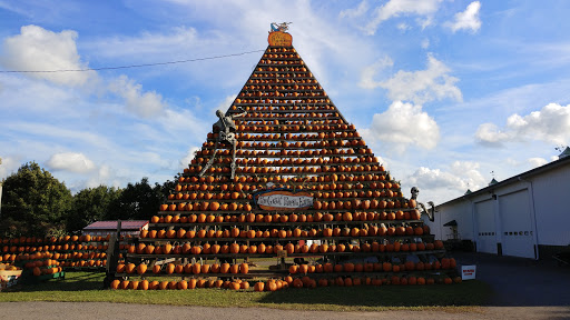 Great Pumpkin Farm image 4