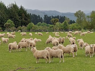 Route 79 Museum NZ