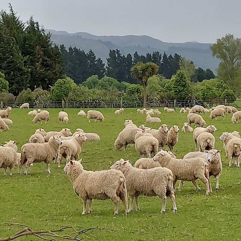 Route 79 Museum NZ