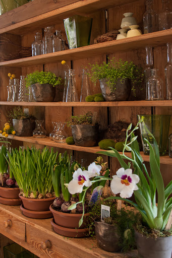 Florist «Studio 539 Flowers», reviews and photos, 174 Wickenden St, Providence, RI 02903, USA