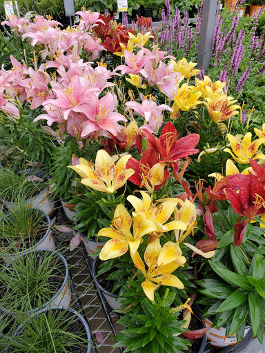 Home Improvement Store «The Home Depot», reviews and photos, 2000 Butterfield Rd, Downers Grove, IL 60515, USA