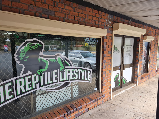 The Reptile Lifestyle