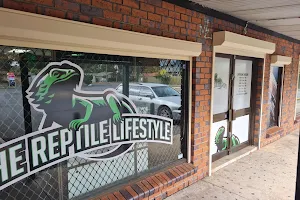 The Reptile Lifestyle image