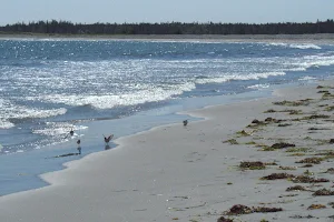 Cherry Hill Beach image