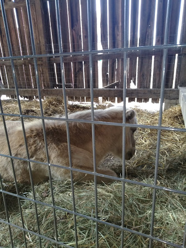 Produce Market «Miller Farms», reviews and photos, 10140 Piscataway Rd, Clinton, MD 20735, USA