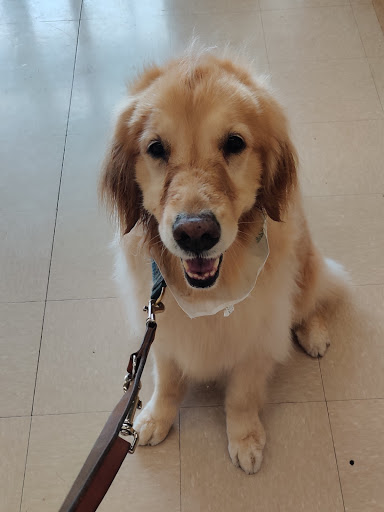 Pet Supply Store «Petco Animal Supplies», reviews and photos, 993 Branson Hills Pkwy, Branson, MO 65616, USA