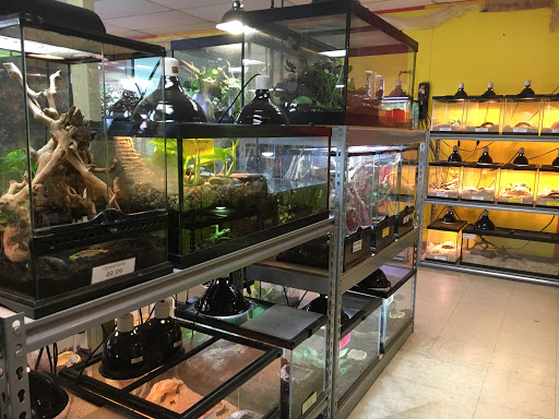 Pet Store «Tye-Dyed Iguana - Reptiles», reviews and photos, 1905 W U.S. 50, Fairview Heights, IL 62208, USA
