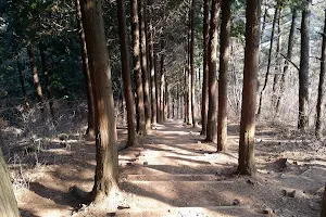 갈모봉산림욕장 image
