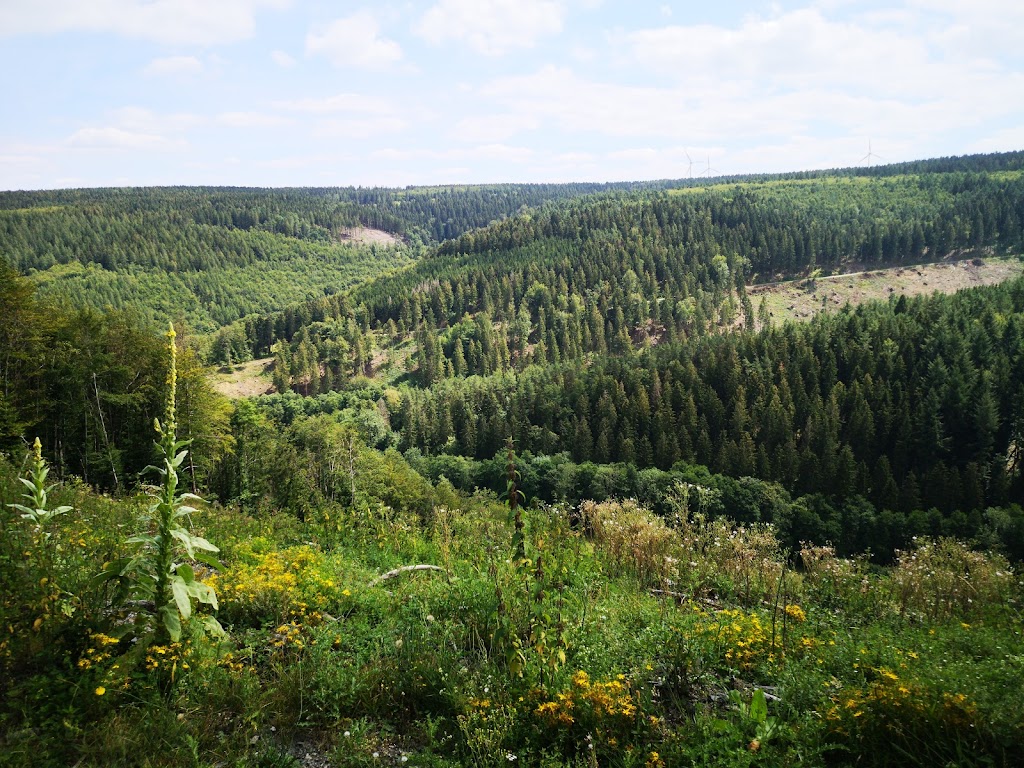Parkplatz Ochsenkopf - Hürtgenwald / Westwall