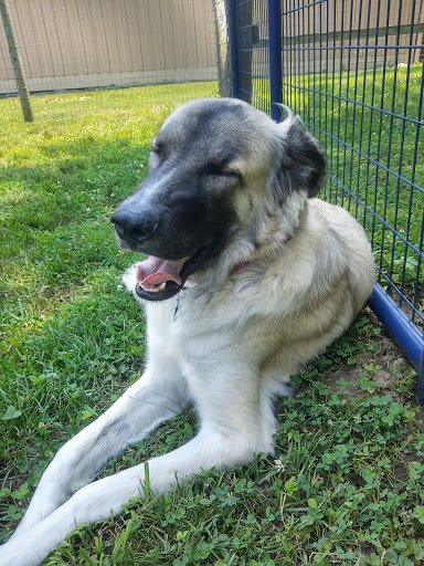 Peake Brook Veterinary Center image