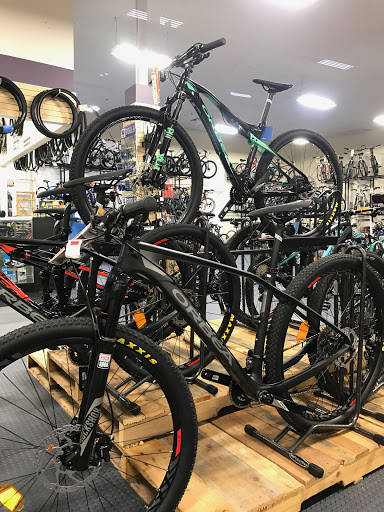 Sun & Ski, 1100 W Arbrook Blvd A, Arlington, TX 76015, USA, 