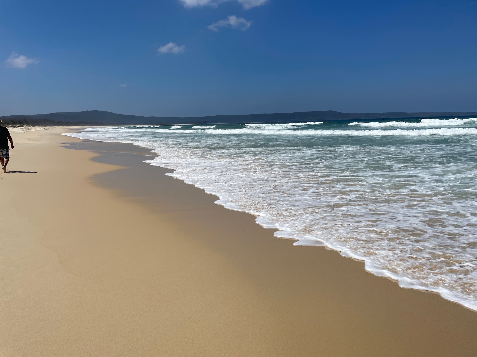 Wonboyn Beach的照片 带有长直海岸