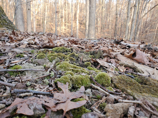 Park «Fairfax Villa Park», reviews and photos, 11399 Park Dr, Fairfax, VA 22030, USA