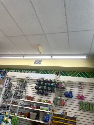Dollar Store «Dollar Tree», reviews and photos, 1001 W County Line Rd, Hatboro, PA 19040, USA