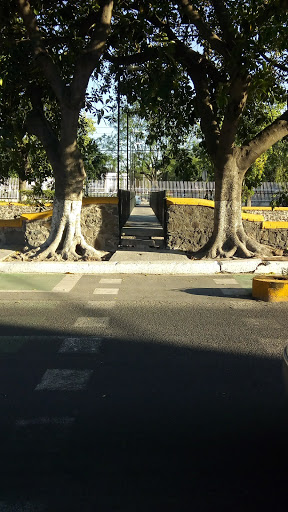 Servicio de alquiler de bicicletas Santiago de Querétaro