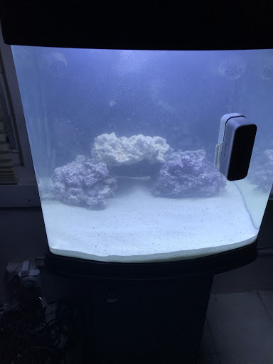 Pet Supply Store «Exotic Aquatic», reviews and photos, 275 E Oakland Park Blvd, Fort Lauderdale, FL 33334, USA