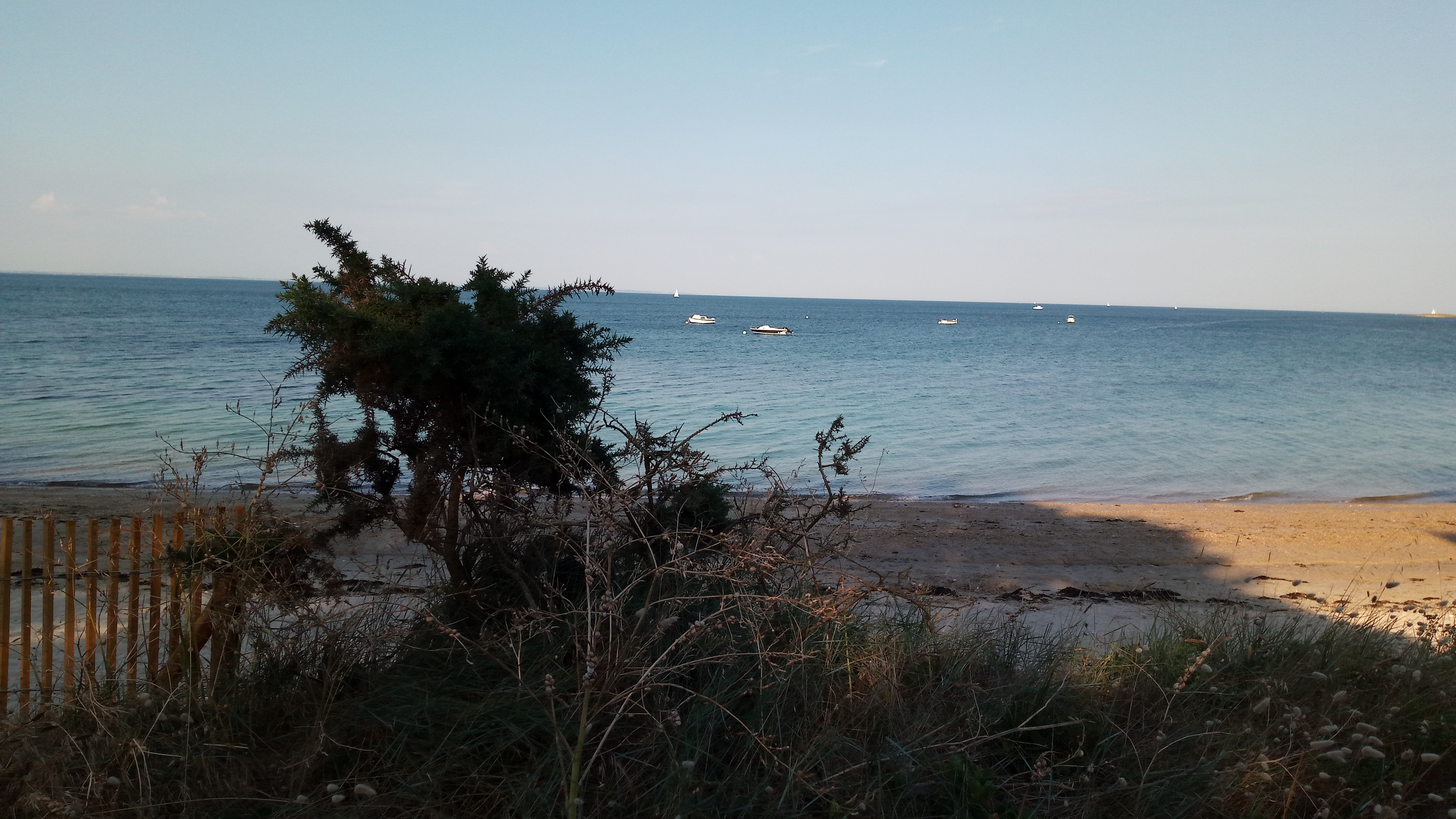 Photo n° 5 de l'avis de Jérôme.� fait le 20/07/2018 à 14:02