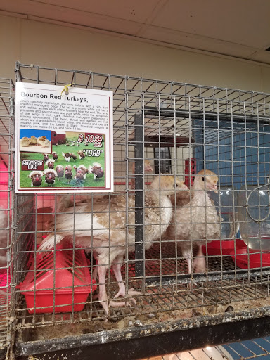 Pet Supply Store «Pickering Valley Feed & Farm Store», reviews and photos, 305 Gordon Dr, Exton, PA 19341, USA