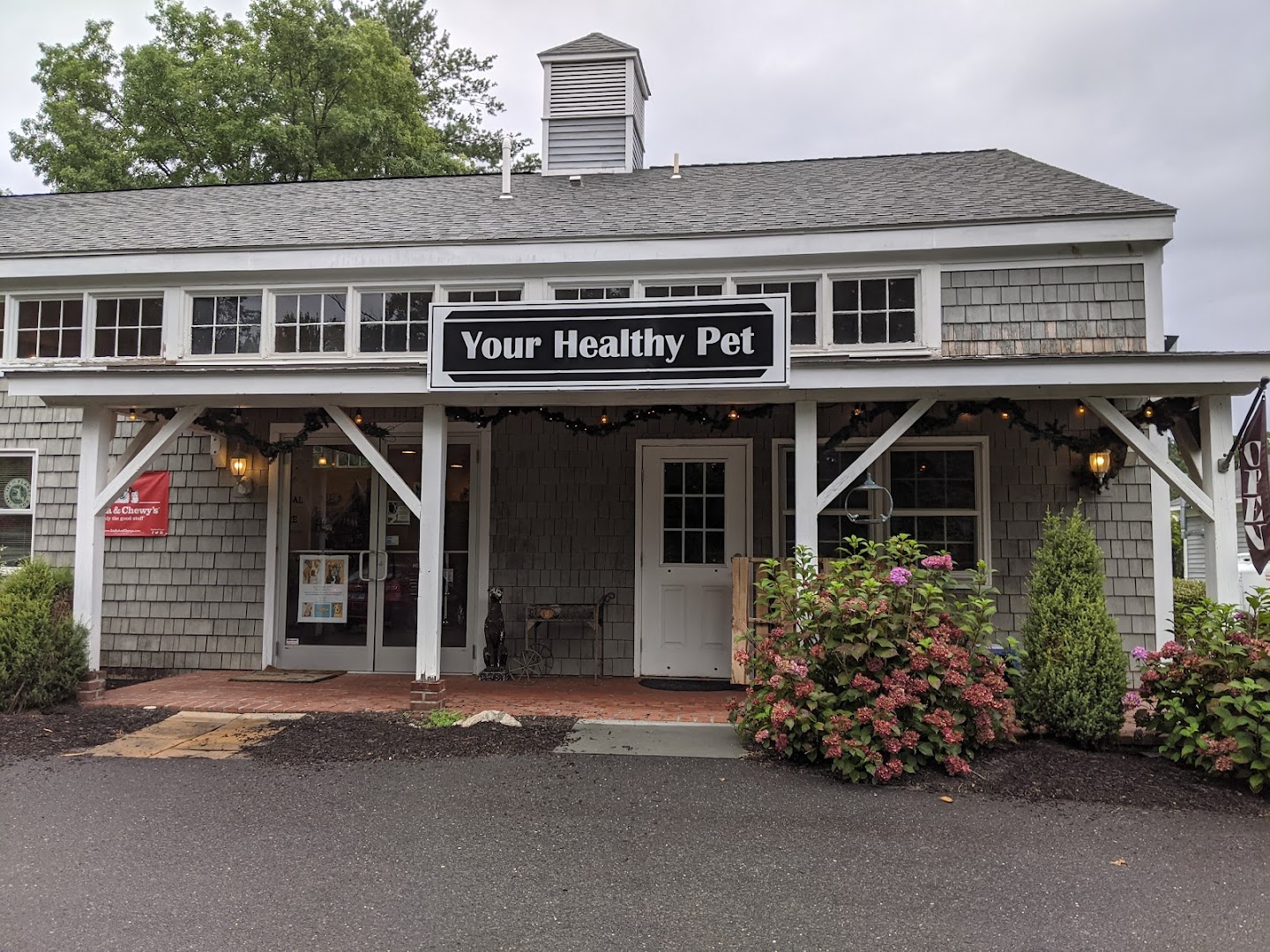 Your Healthy Pet - Middlebury