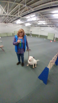 Toledo Kennel Club - Photo 8 - Car repair in Holland, OH, Toledo