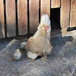 Photo n°3 de l'avis de Rolf. fait le 16/10/2023 à 13:39 sur le  Pfraum à Kastelbell-Tschars